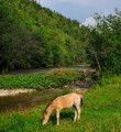 поселок Точильный, Ашинский район